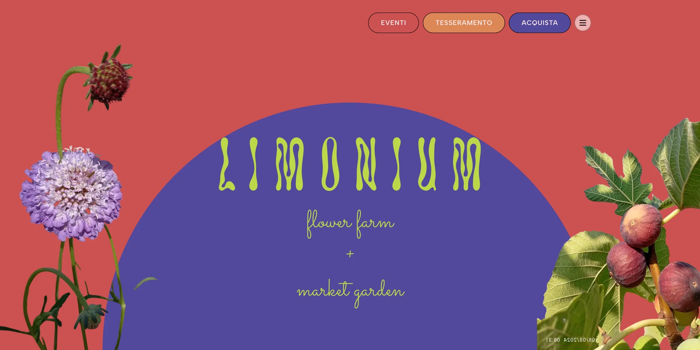 Homepage di limonium.it: logo lime su arco indaco, fondo rosso corallo